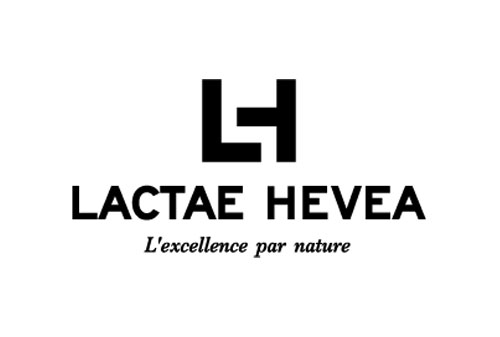 Lactae hevea
