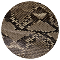 蟒蛇皮 && 米灰色