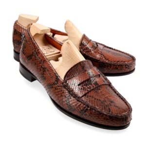 python skin trainers